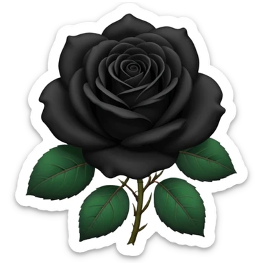 black rose, without green leaves, just flower sticker