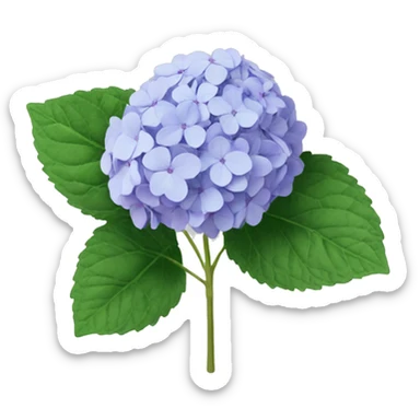 Hydrangea sticker
