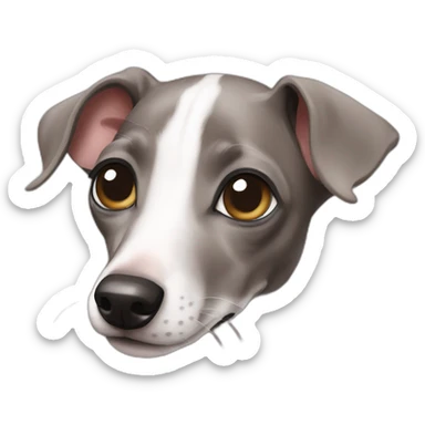 italian greyhound puppy sticker