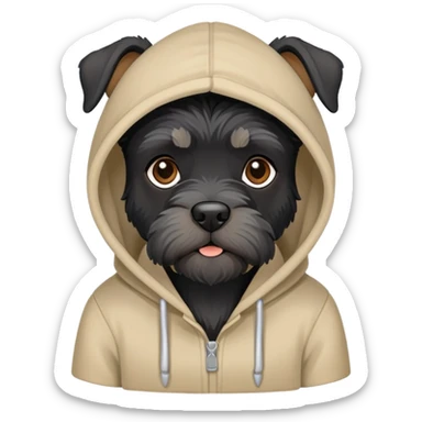 Schnauzer negro con una hoddie sticker