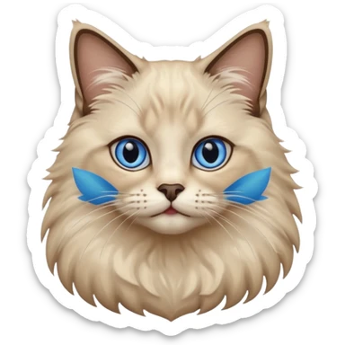 Ragdoll cat, with dark nose/center face area with surrounding beige fur, bright blue eyes sticker