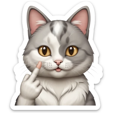Kedi 🖕🏻 gösteriyor sticker