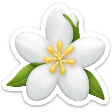 Jasmine flower with white petal and yellow center with stamen sticker