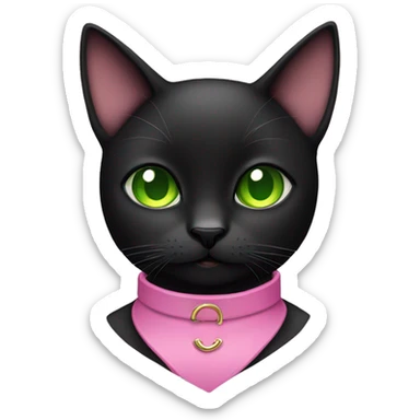 black cat with green eyes and wearing a pink collar sticker