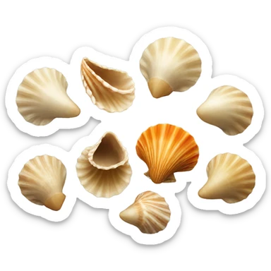 Shells sticker