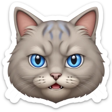 angry grey cat blue small eyes. iphone real emoji style sticker
