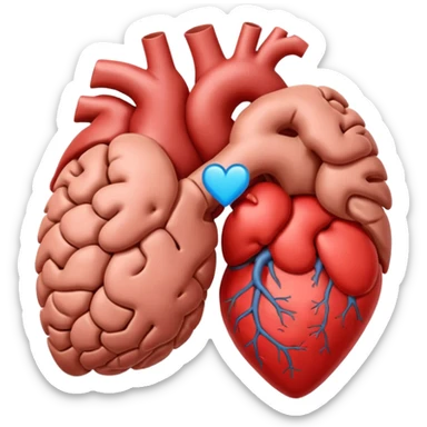 brain heart sticker