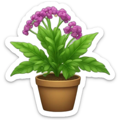 plant sticker