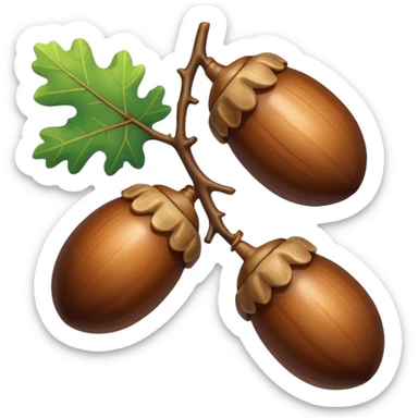 oak acorns sticker