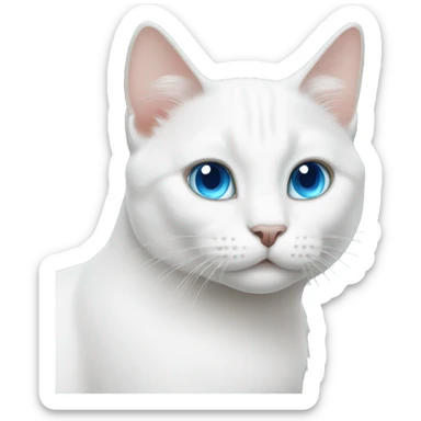 white cat with blue eyes sticker