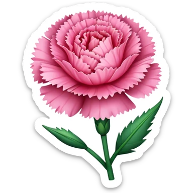 carnation flower sticker