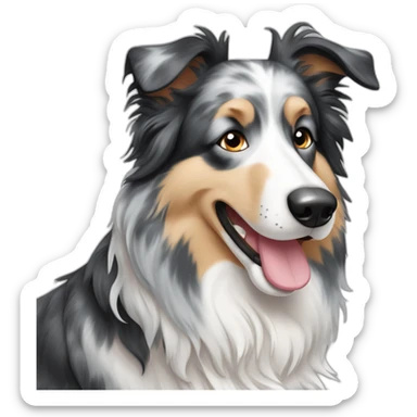 Blue merle collie dog black white and grey sticker