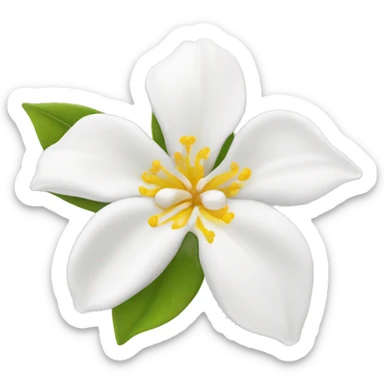 Jasmine flower with white petal and yellow center with stamen sticker