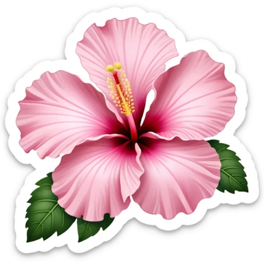 light pink hibiscus flower sticker