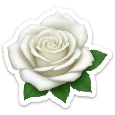 white rose sticker