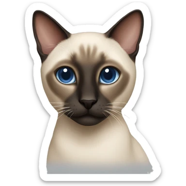 An adult male Siamese cat  sticker