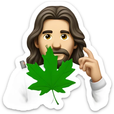 long haired man smoking a backwoods filled with green tobacco and has a shirt on with a green maple leaf  sticker