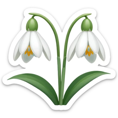 snowdrop, two blossoms, simple sticker