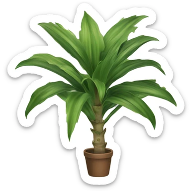 Dracaena trifasciata sticker