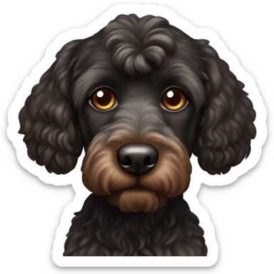 Black cockapoo dog with brown eyes sticker