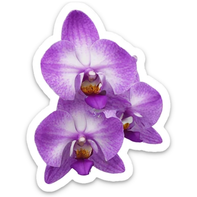 european orchid flower sticker