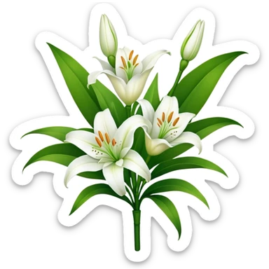 bouquet White Lily, luxuriant, stem, leaf, bud sticker