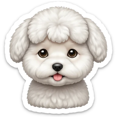 white baby Bichon Frise only face  sticker