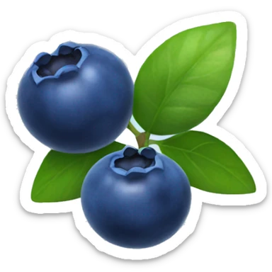 Blueberries  sticker