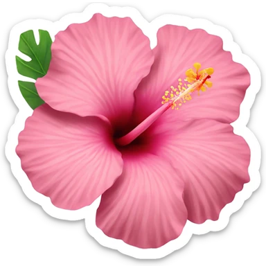 pink hibiscus flower sticker