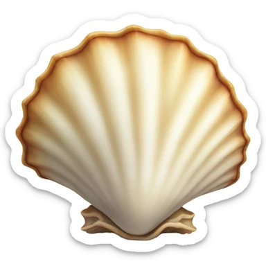 sea shell sticker