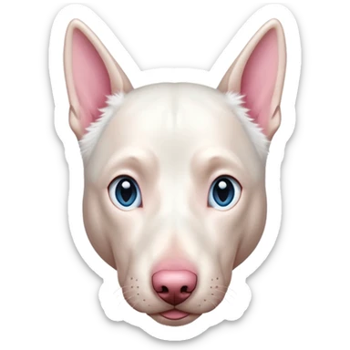 albino doberman with blue eyes sticker