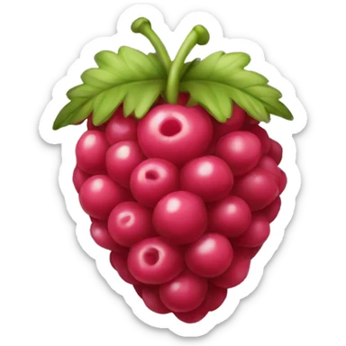 Rasberry sticker