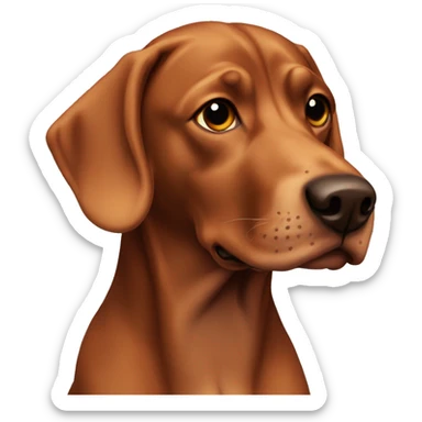 Viszla dog sticker