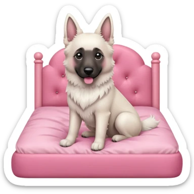 White belgian Shepard sit in a pink bed
  sticker