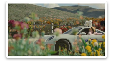 A portrait of a white person next to porsche 911 in the foreground, blurred plants in the foreground, a wooden fence and colorfull flowers in the midground, rolling hills in the background, cinematic depth of field, layered composition, natural lighting sticker
