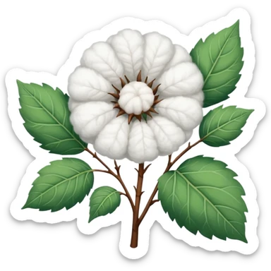 A cotton plant sticker