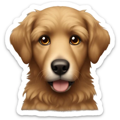 fluffy brown dog with a black snout and brown eyes  sticker