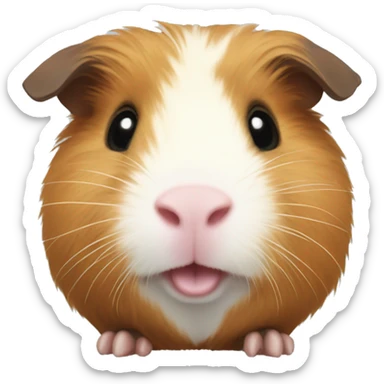 Guinea pig sticker