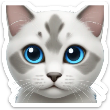 white/black/gray munchkin cat with blue eyes sticker