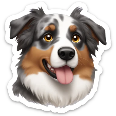 Australian shepherd with pointy ears sticker