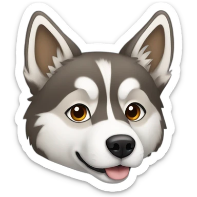 Husky in capuchino colors with one blue and one amber iris sticker