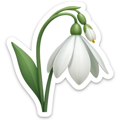 Snowdrop flower sticker