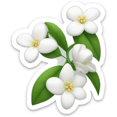 White beautiful jasmine flower sticker