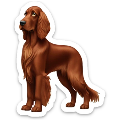 Irish setter  sticker