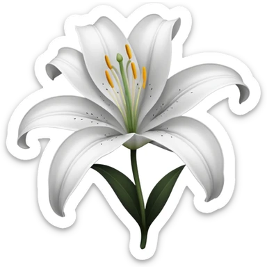 an outline of one singular lily flower, no colour,just outline sticker