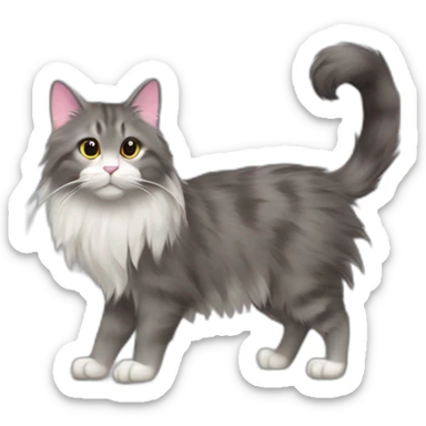grey norweigian forest cat walking profile furry bushy tail long whiskers furry and fluffy white front and back paws eyes a pink dark brown edged nose small triangular ears sticker