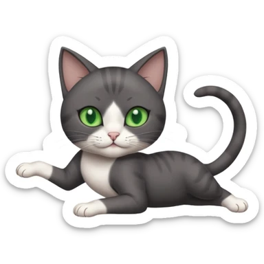 dark grey cat with green eyes, white toes/paws and white patch on her chest playfully rolling upside down sticker