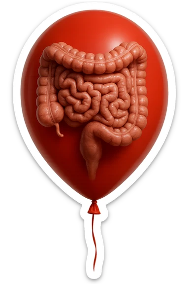 INTESTINO UMANO ANATOMICO REALISTICO CHIUSO IN UN PALLONCINO ROSSO, IPERREALISTICO 4K sticker