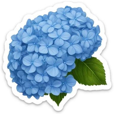 blue hydrangea  sticker