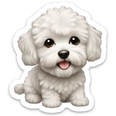 little maltipoo dog that’s black sticker